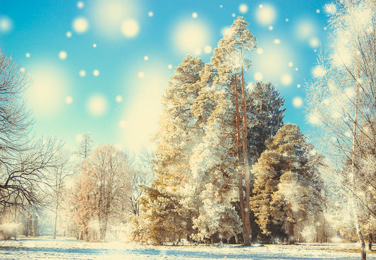 Toile de fond d'hiver de la forêt de flocons de neige pour la photographie