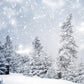 Toile de fond décors de photographie de forêt de neige d'hiver de Noël