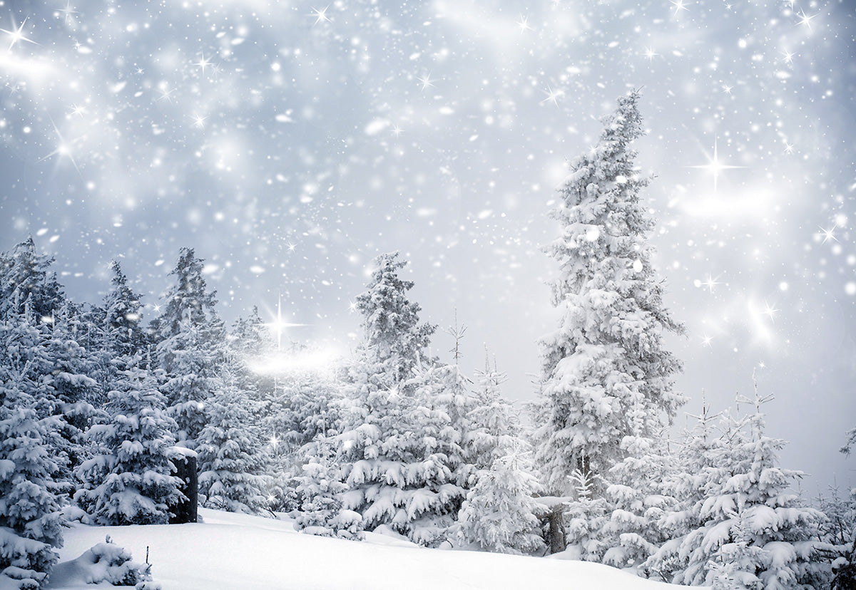 Toile de fond décors de photographie de forêt de neige d'hiver de Noël