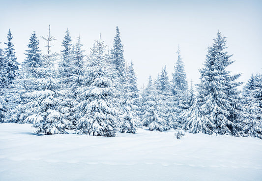 Toile de fond décors de studio photo de Noël de neige pour la photographie