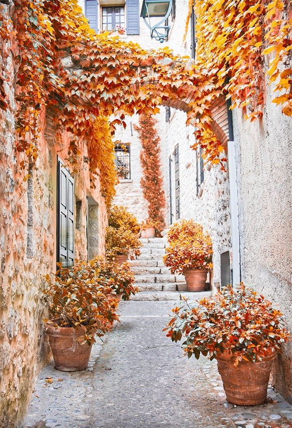 Toile de fond d'automne vieux village photo pour le studio