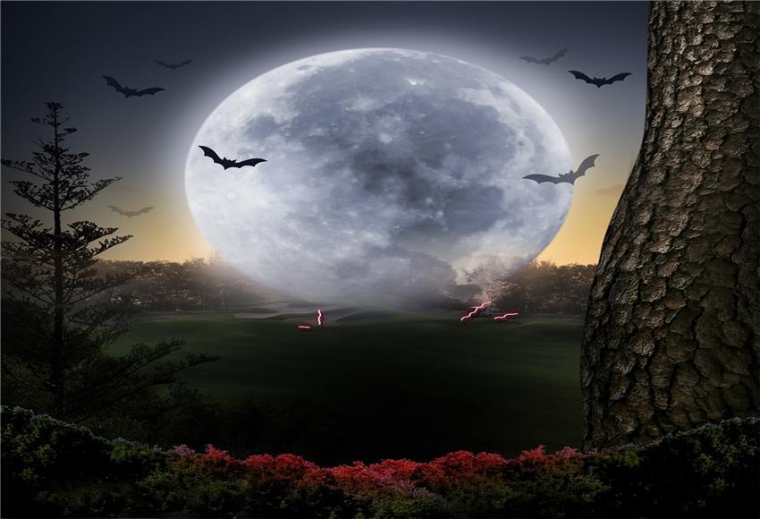 Toile de fond de grande lune nature Halloween photographie