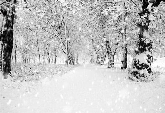 Toile de fond d'hiver de neige blanche pour la photographie de studio