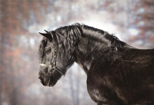 Toile de fond décors de photographie de cheval d'animaux d'automne