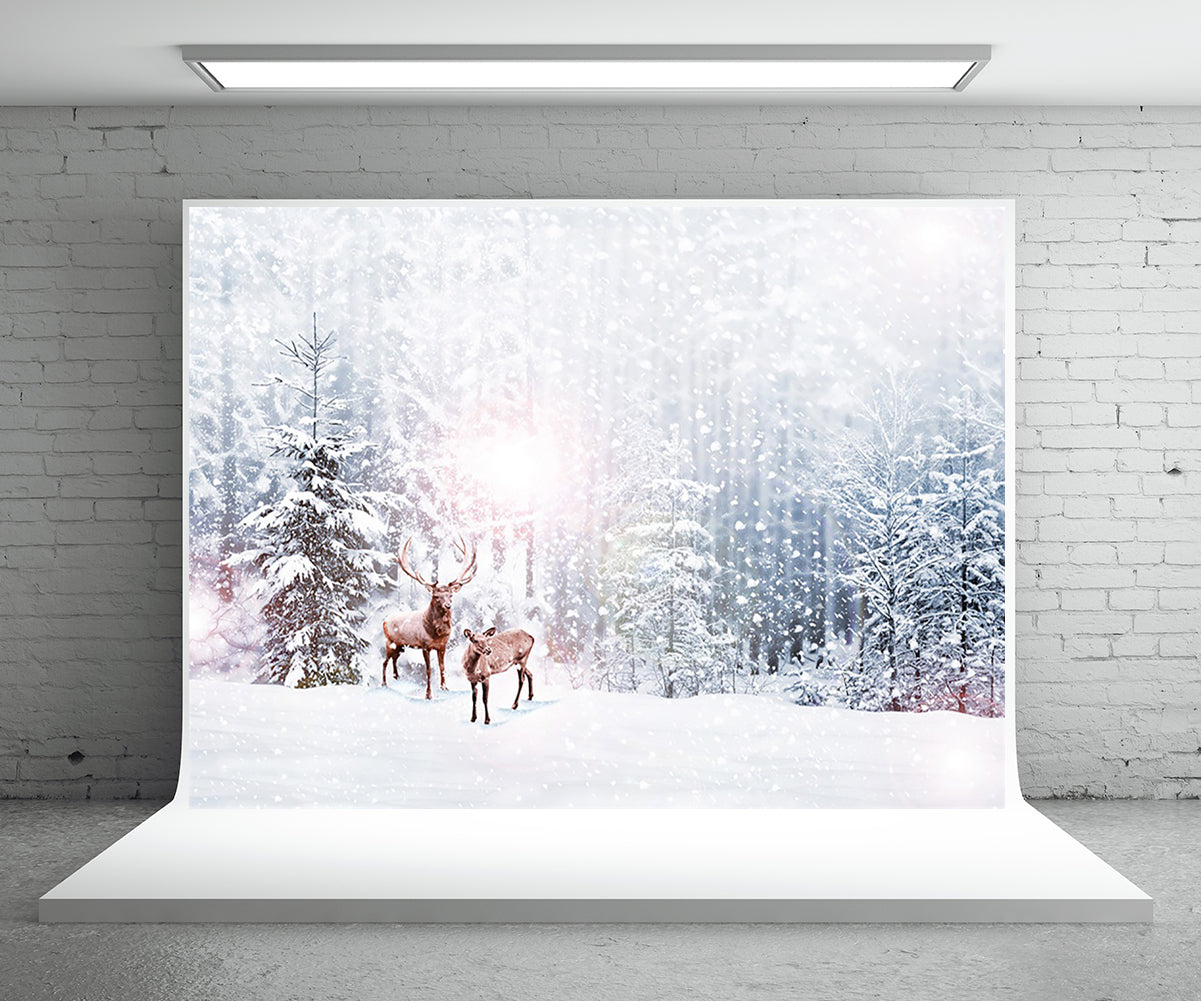 Toile de fond décors de photographie de wapiti de forêt de neige d'hiver pour la photographie