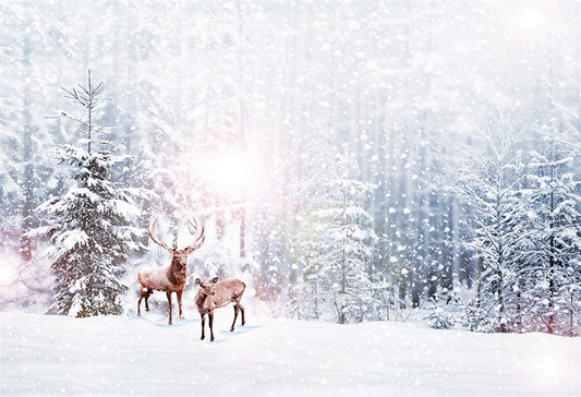 Toile de fond décors de photographie de wapiti de forêt de neige d'hiver pour la photographie