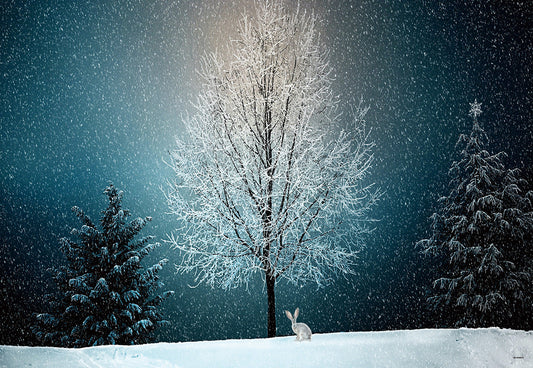 Toile de fond de flocon de neige Noël hiver décors de photographie