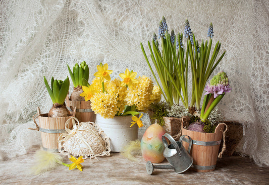 Toile de fond décors de rideau de dentelle de Pâques joyeuses de printemps pour la fête