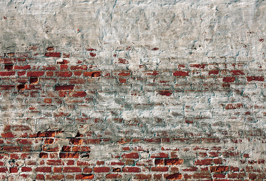 Toile de fond de photographie de mur de brique rouge blanc vintage pour le studio