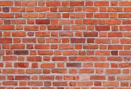 Red Brick Wall Portrait Photography Backd