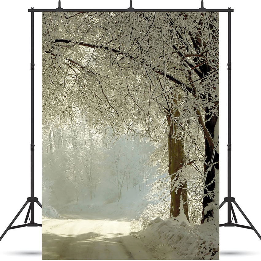 Toile de fond de route rurale d'hiver arbres gelés pour la photographie SBH0352