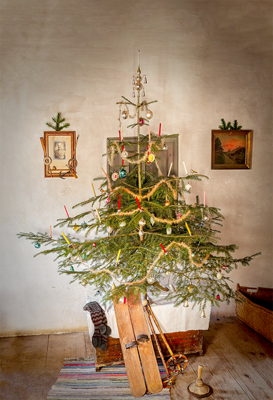 Toile de fond de bois plancher de Noël photo décors photographie