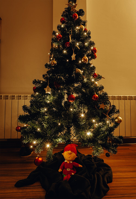 Toile de fond de porte de Noël de tapis de sol en bois pour le studio