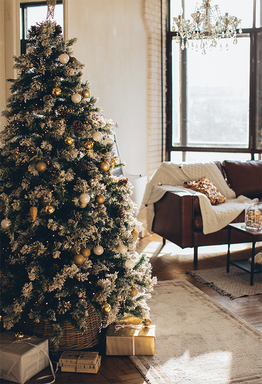 Toile de fond de photo d'arbre de Noël d'intérieur de soleil chaud