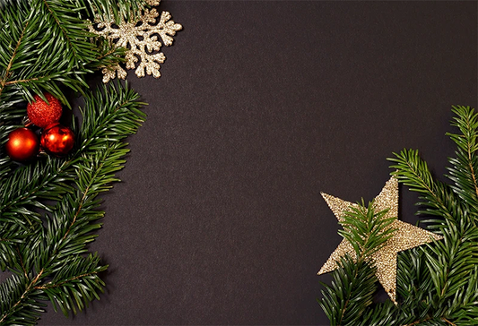 Toile de fond de feuilles de pin Noël pour la photographie