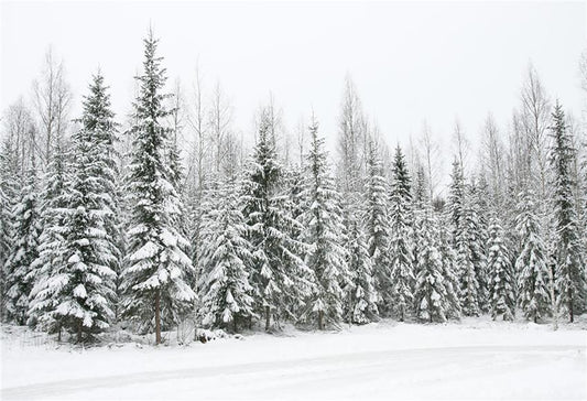 Toile de fond de Noël de neige de pin de neige