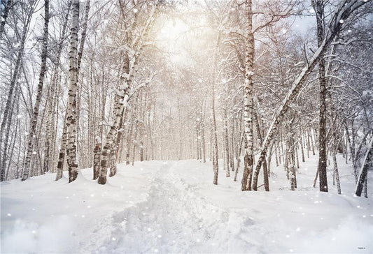 Toile de fond de Noël de la forêt de flocons de neige pour le studio