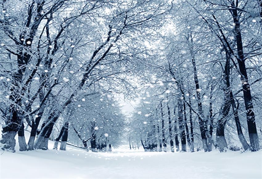 Toile de fond d'arbre de flocon de neige d'hiver