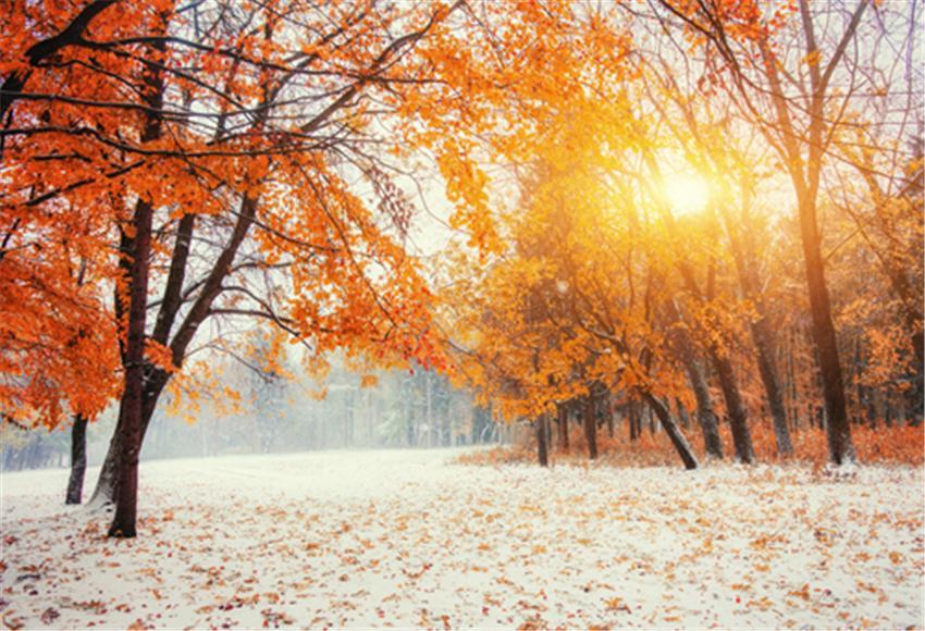 Toile de fond de photographie de neige d'érable d'automne