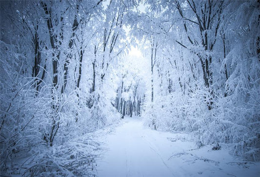 Toile de fond de branches de neige de Noël d'hiver pour la photographie