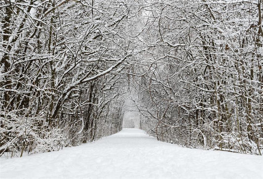 Toile de fond de branches d'hiver neige rue photographique